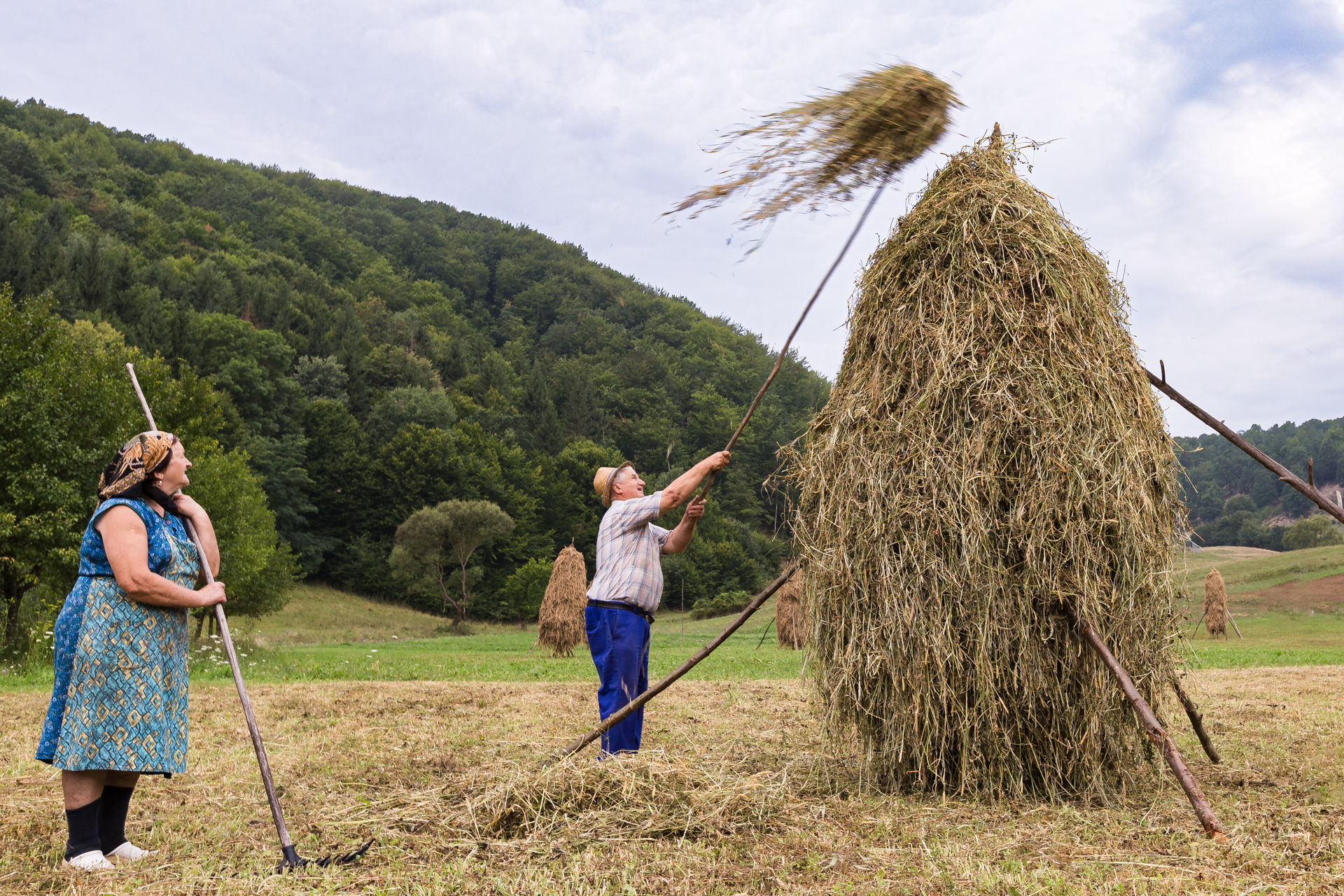 5 I covoni della Romania terza sclass
CSF PRATO ANDREA CECCHI
Immagine bucolica. Una sorta di poesia pastorale dal sapore antico.
La fatica trasformata in gioco. Lattenzione compositiva crea atmosfera e guida il mostro sguardo. Una fotografia che diventa