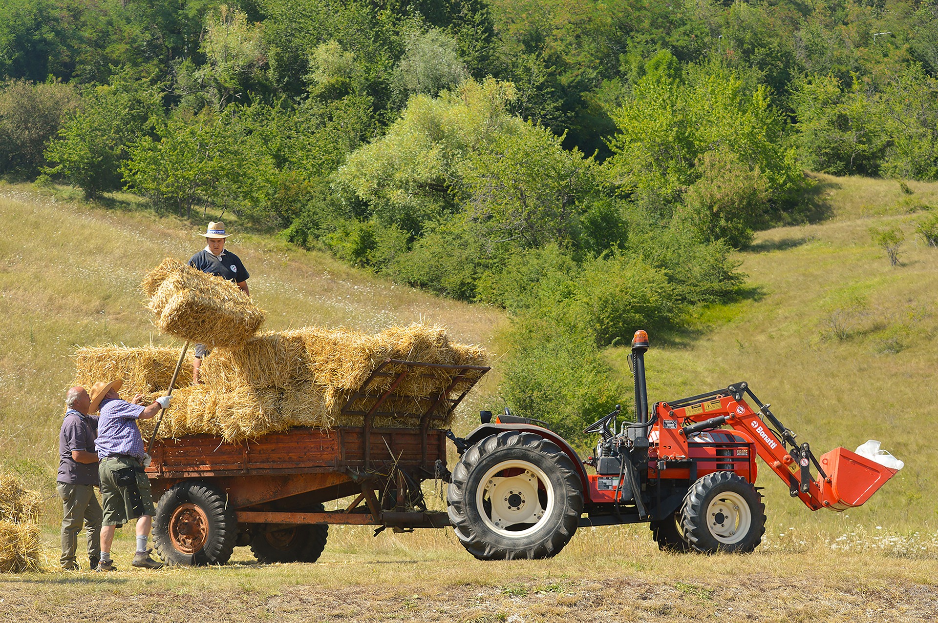 10 Cooperazione sesta class
GF FORNACI PATRIZIA GHERARDI
Una scena nella quale  messo in risalto il lavoro di squadra. Un tutti per uno che agevola la fatica e crea un ambiente nel quale si evidenza la gioia del fare e stare insieme. Protagonista che att