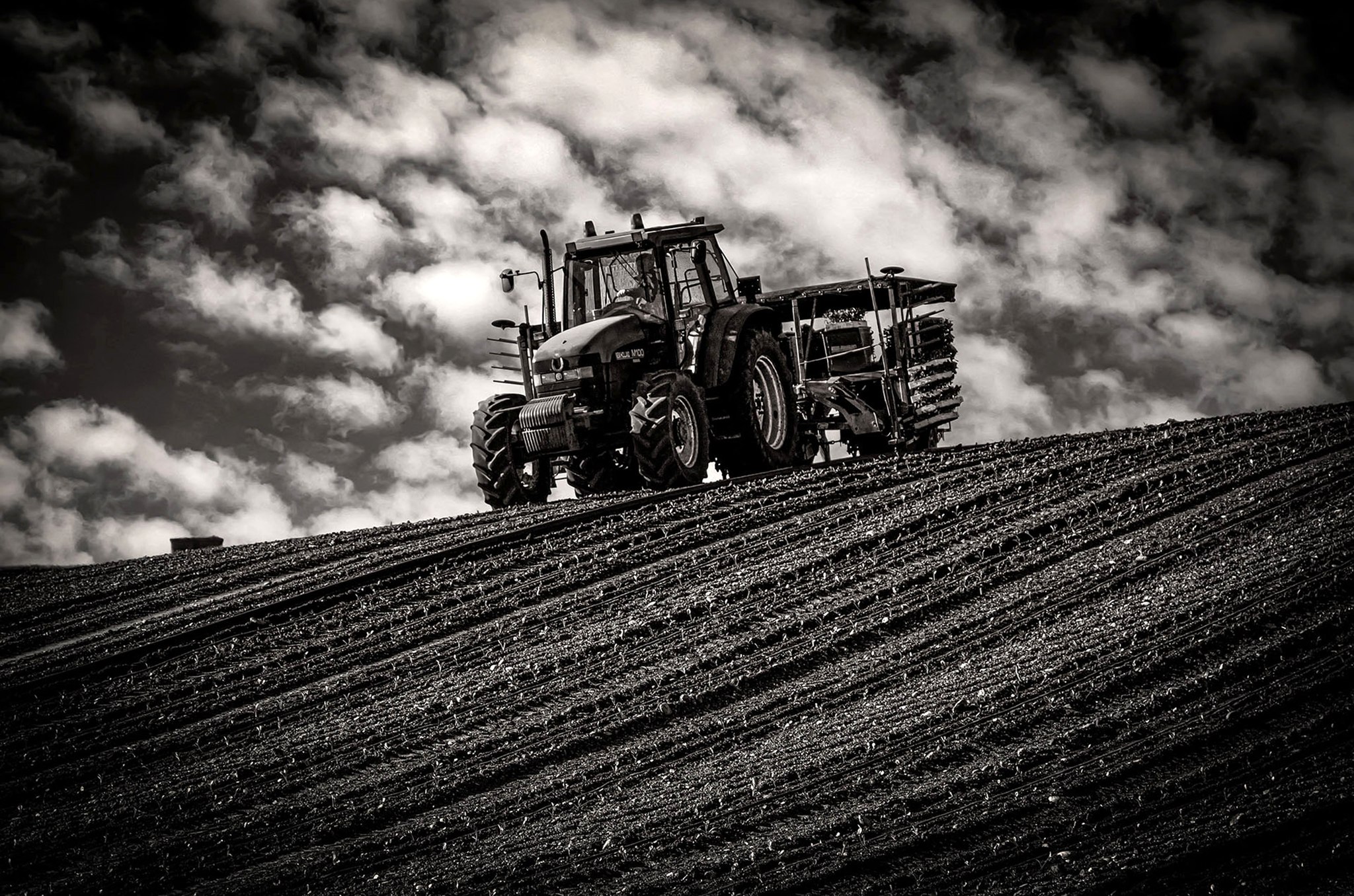 16 Tavoliere delle Puglie ottava class
IMAGO CLUB FRANCOFABBRI
Narrare uno dei luoghi pi fertili della nostra Italia raccontandone lattualit.
Decidere di rappresentarlo in bianco e nero enfatizzando con una cromia contrastata i protagonisti della scena