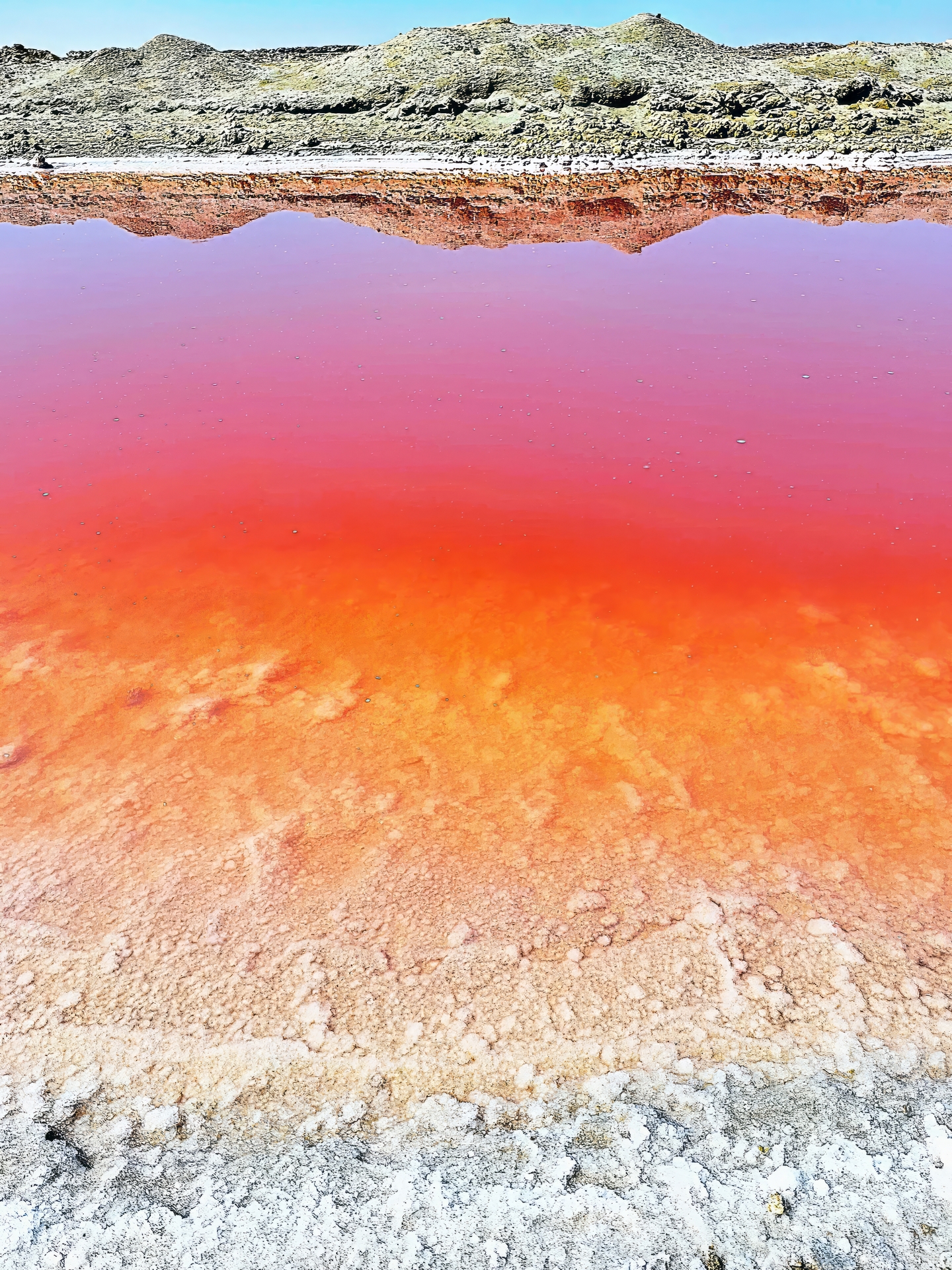 22) PROFONDO ROSSO SETTIMA CLASS GSF PRATO NADIA BARONTI
Sorprende, ogni volta, lintensa dominante carminio che assumono gli ambienti acquatici quando  presente un forte tasso di salinit. La percezione  quella di un ambiente avulso, alieno dove il sen