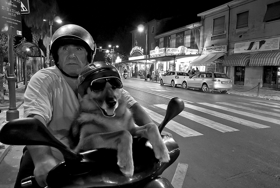 Foto n 43TERZA CLASS
IDEAVISIVA FRANCO BELTRAMI
In un buon notturno in bianco/nero, l'autore ci propone una bella e simpatica immagine curiosa e che strappa un sorriso. Capita di trovare scene del genere, animali che ben si abituano alle usanze del padr