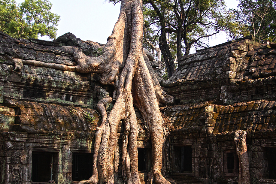 Ottava class
IMAGO CLUB BRUNERO LUCARINI
OTTAVA CLASS
IMAGO CLUB BRUNERO LUCARINI
13 - Tempio di Ta Prohm
Le radici dellalbero cotone seta corrono lungo i tetti del tempio Ta Prohm di Angkor, e rendono visibile questa incredibile unione tra la giungla e 