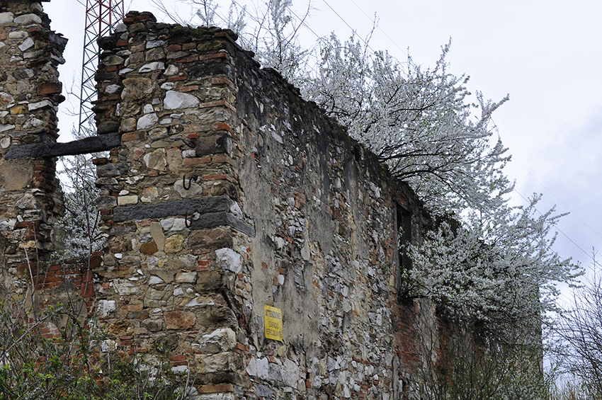 Nona class
IDEAVISIVA ANGELO DE MAIO
3 - La primavera si affaccia
Il contrasto  decisamente estremo: tra la bellezza della fioritura primaverile colta nel suo momento pi sublime in cui i fiori bianchi riempiono i rami come delicati fiocchi di neve, e il