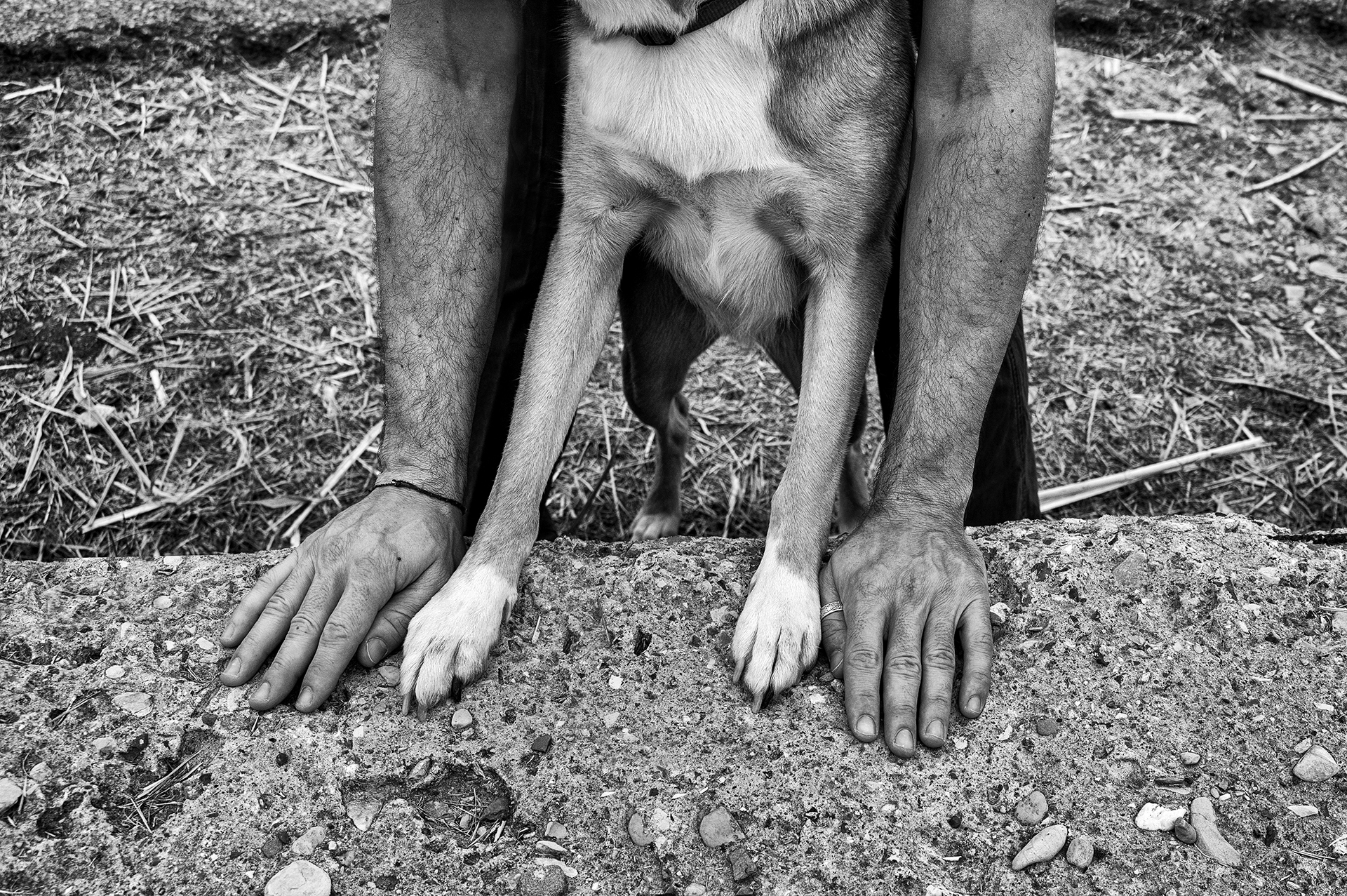 Foto n°  3 – QUINTA CLASS-
IL CASTELLO	FRANCESCO SABATINI
-SIMBIOSI. È vero, si crea una vera simbiosi tra l'uomo e il suo cane e ci sono spesso scene come quella rappresentata in foto. Ci sono delle intese sorprendenti, il cane cerca il padrone e la sua 