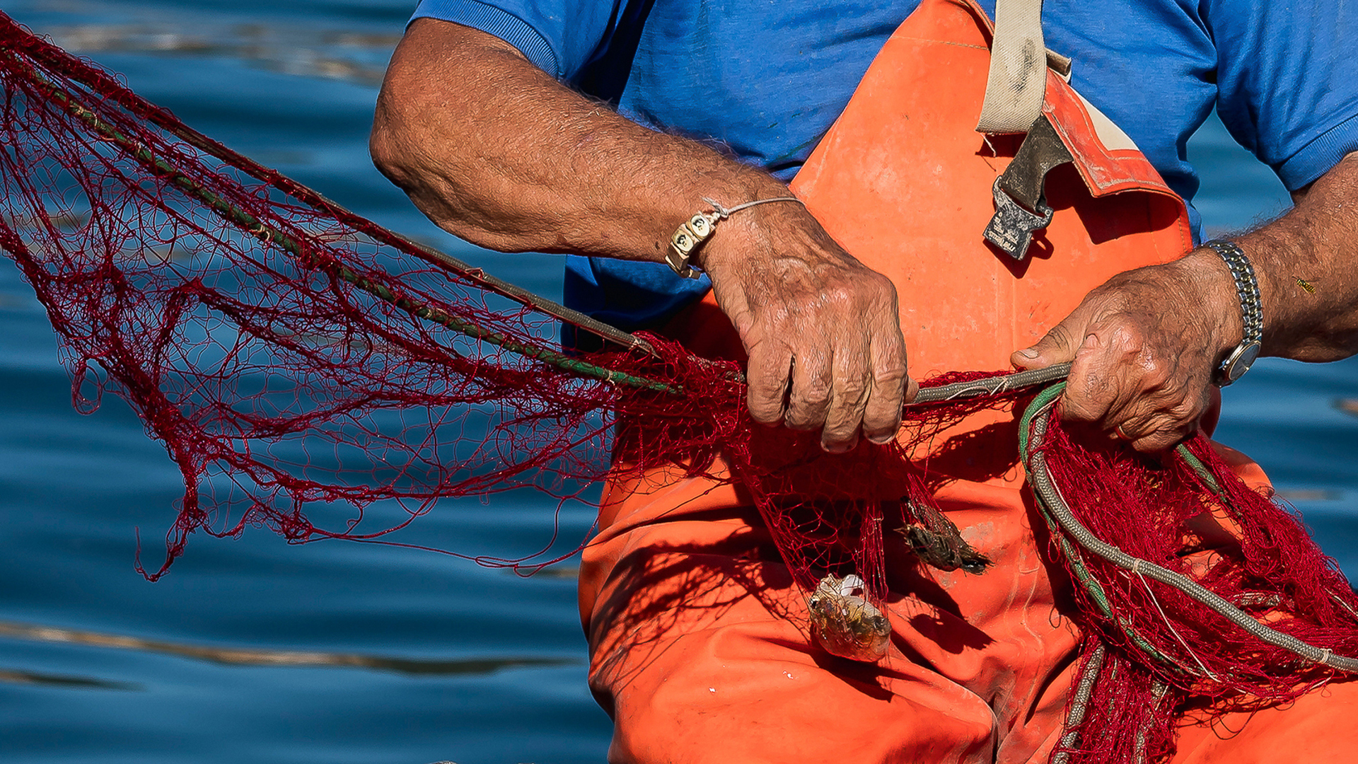 Foto n   24 NONA CLASS-
IMAGO CLUB 	MASSIMO FONTANI
	
- IL PESCATORE. Nella presente fotografia si rinnova un trinomio inscindibile: la rete, il pescatore e le sue mani, forse al ritorno da una battuta di pesca dove, per, la povera rete non ha avuta bu