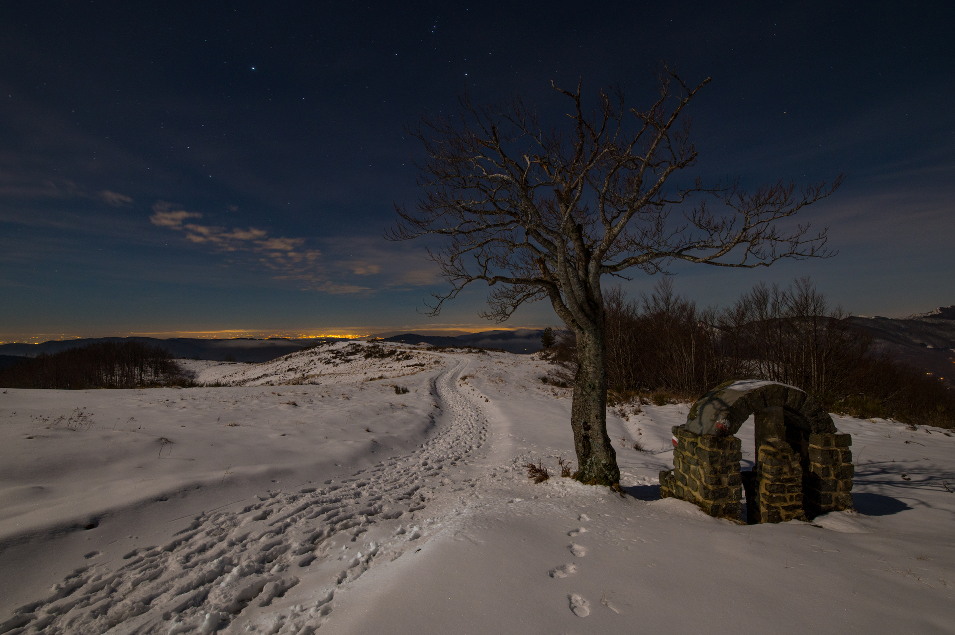 N.25)OTTAVA CLASS-
CENTRO SPERIMENTALE RICCARDO LOGLI

La luce lunare riflessa della neve rende immensa la sera. Il crinale della collina innevata presenta i segni del cammino umano del viottolo che con percorso sinuoso si perde allorizzonte. La quercia 