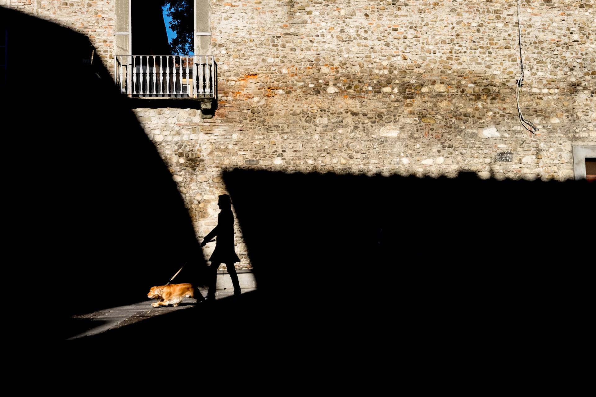 SETTIMA
ENRICO ROSINI
IL BACCHINO