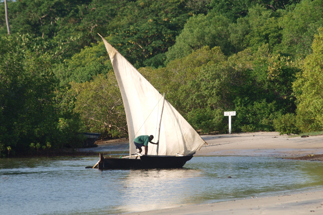 Tanzania vela di altri tempi