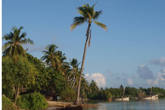 isola di MAFIA