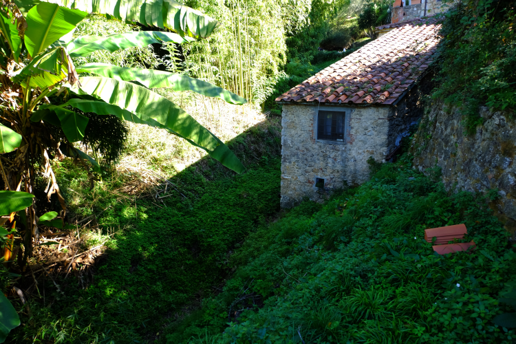 Da Pietrasanta a Monte Magno per la via Francigena