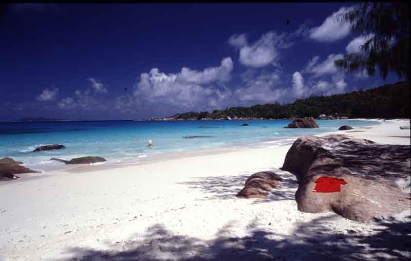 Isola di Praslin-spiaggia Anse Lazio