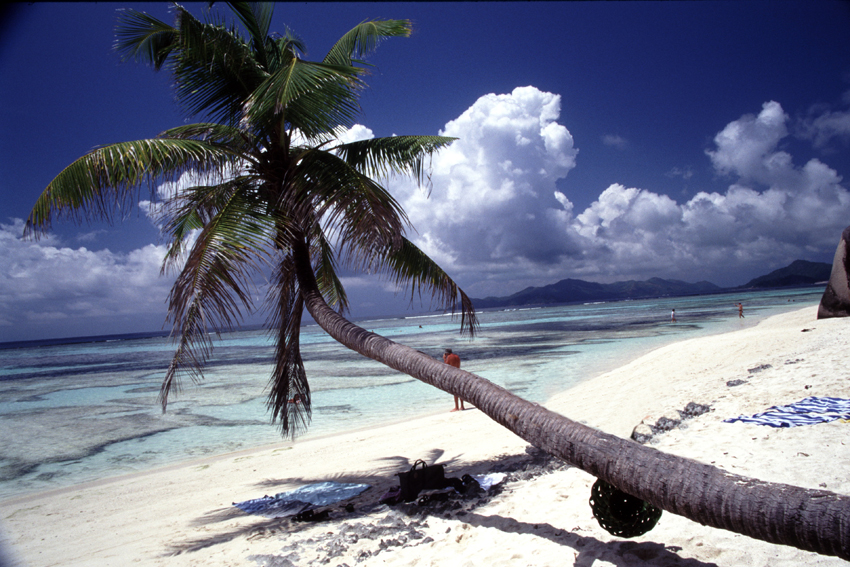 Isola di Praslin-spiaggia Anse source d'argent
