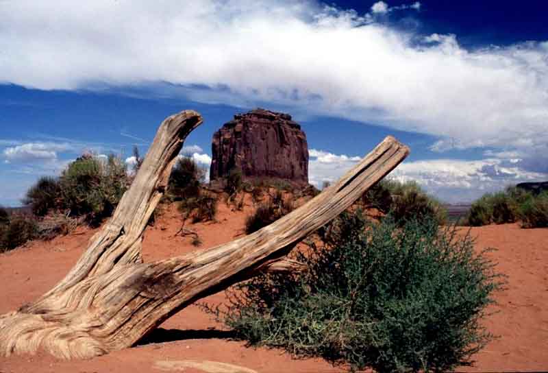 Utah/Arizona -Monument Valley Navajo Tribal Park 