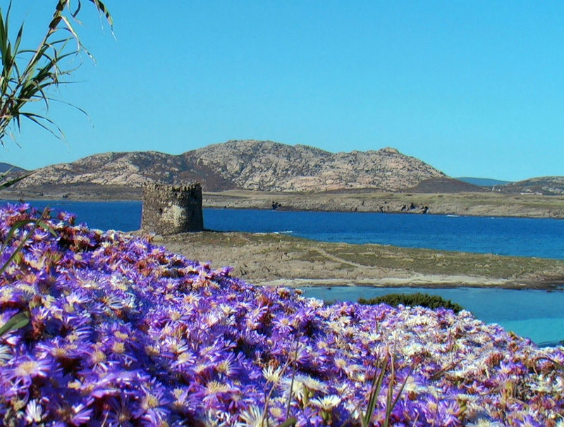 Sardegna-Stintino