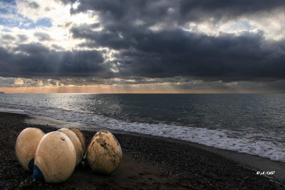 Mare d'Inverno 
Bibbona -Li 
