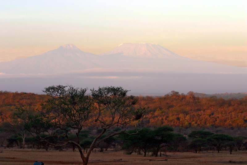 Kenya nello sfondo il Kilimangiaro 