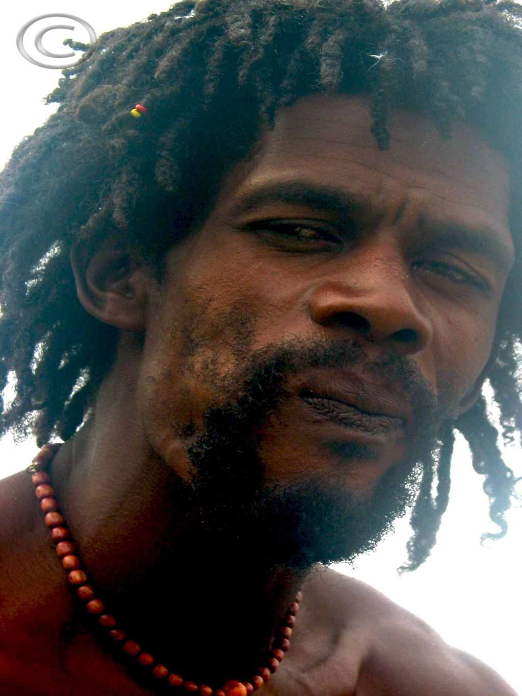 Rasta - Caraibi 