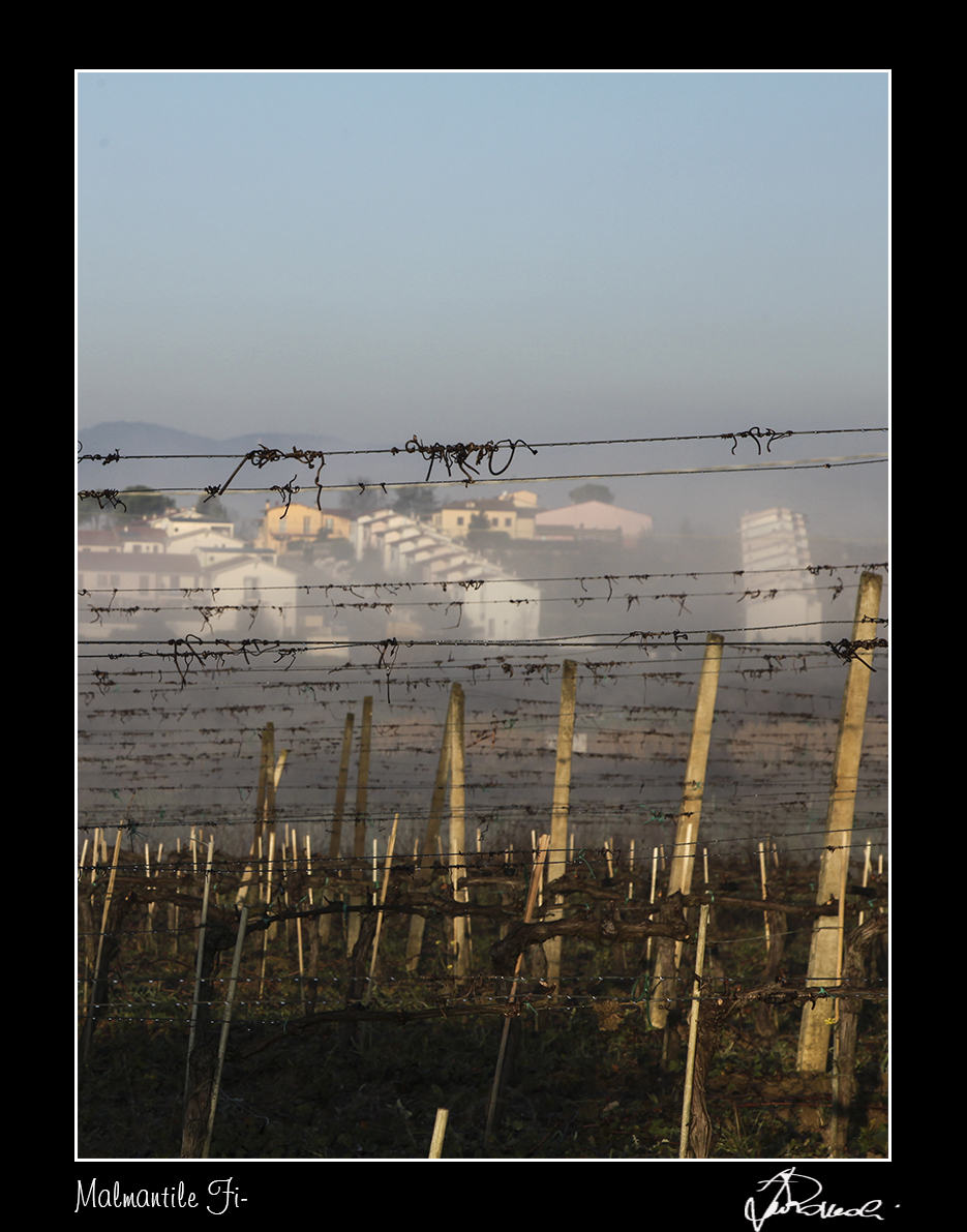 Malmantile -Fi
E' bello ascoltare il silenzio spaziando con lo sguardo
fra colline e cielo che si sorridono nella nebbiolina mattutina.