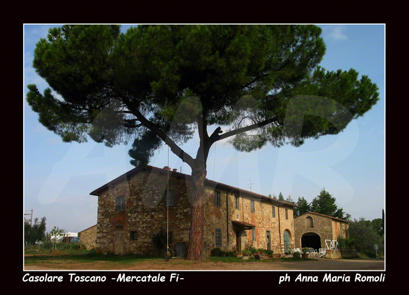 Mercatale -Firenze - casolare toscano