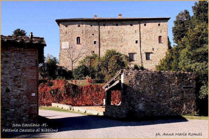 San Casciano-Firenze-Fattoria Castello di Bibbione