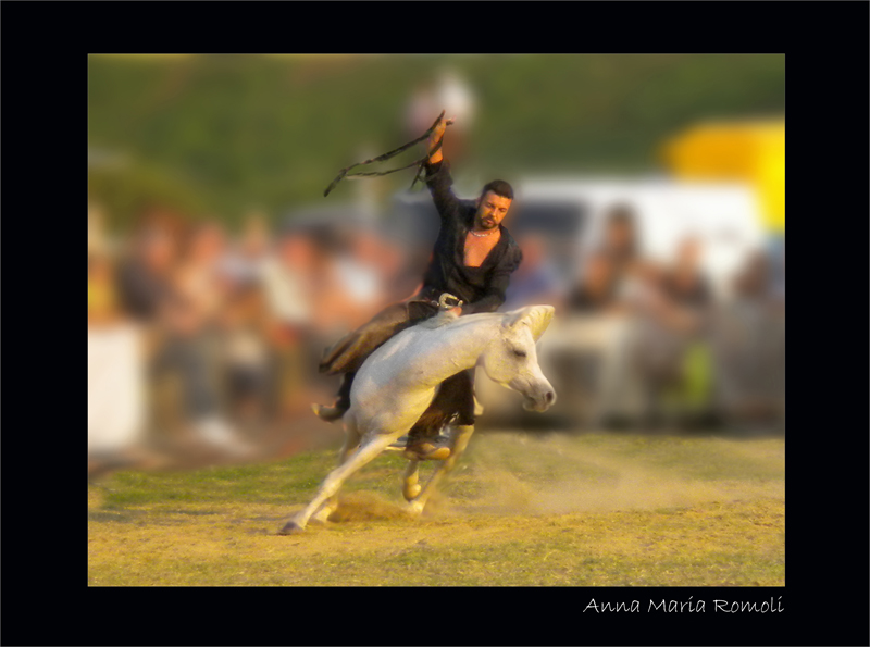 Campi Bisenzio -Fi -Fiera Bestiame -Rodeo