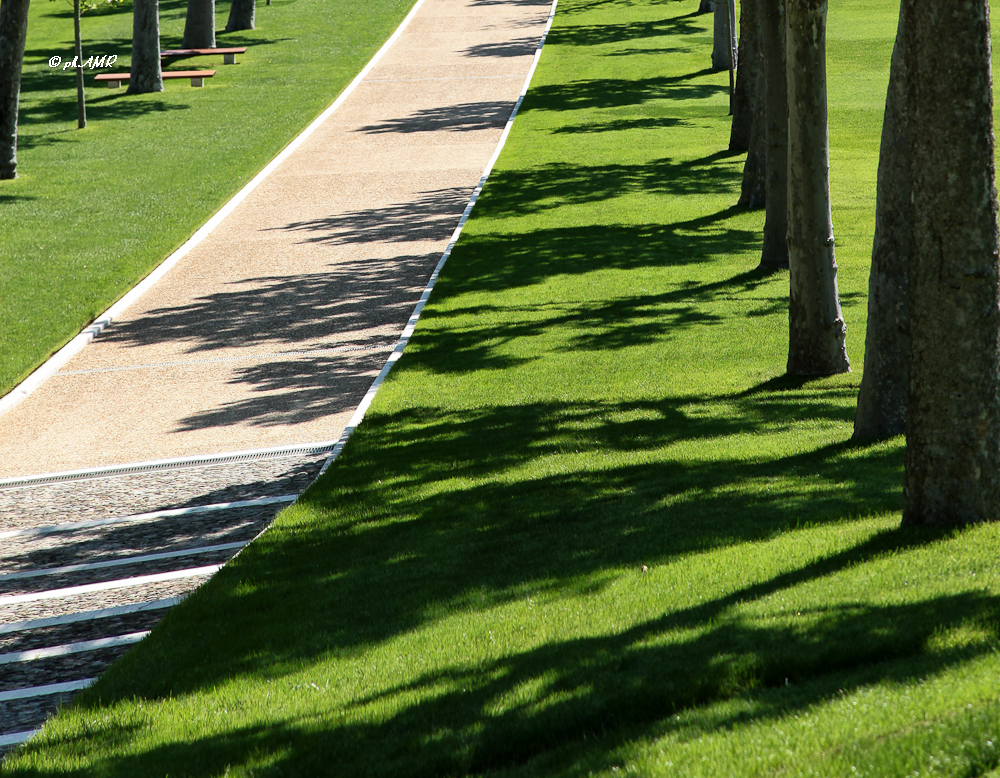 Florence American Cemetery and Memorial 2015