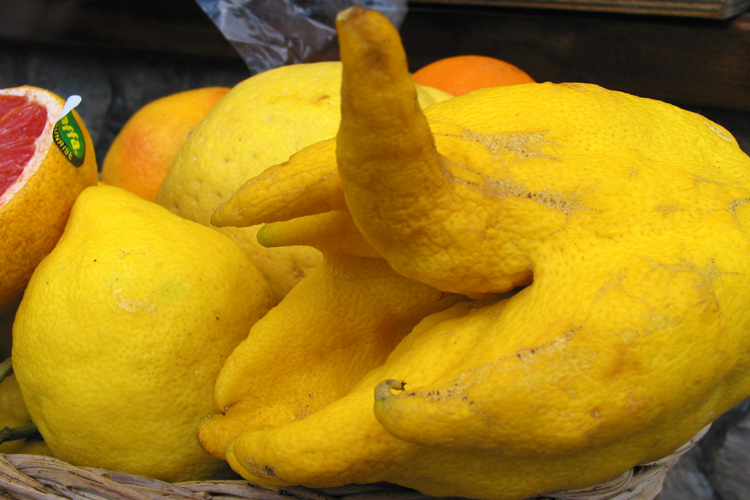 Limone di Capri 